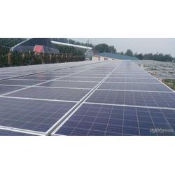 金鼎盛世 以服務至上的理念，引領(lǐng)太陽能發(fā)電行業(yè)新篇章